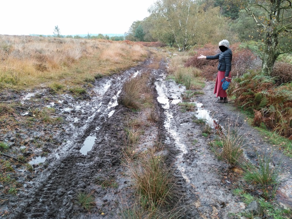 Tyre-tracks-leading-across-Catherton-Common-15th-October-2019