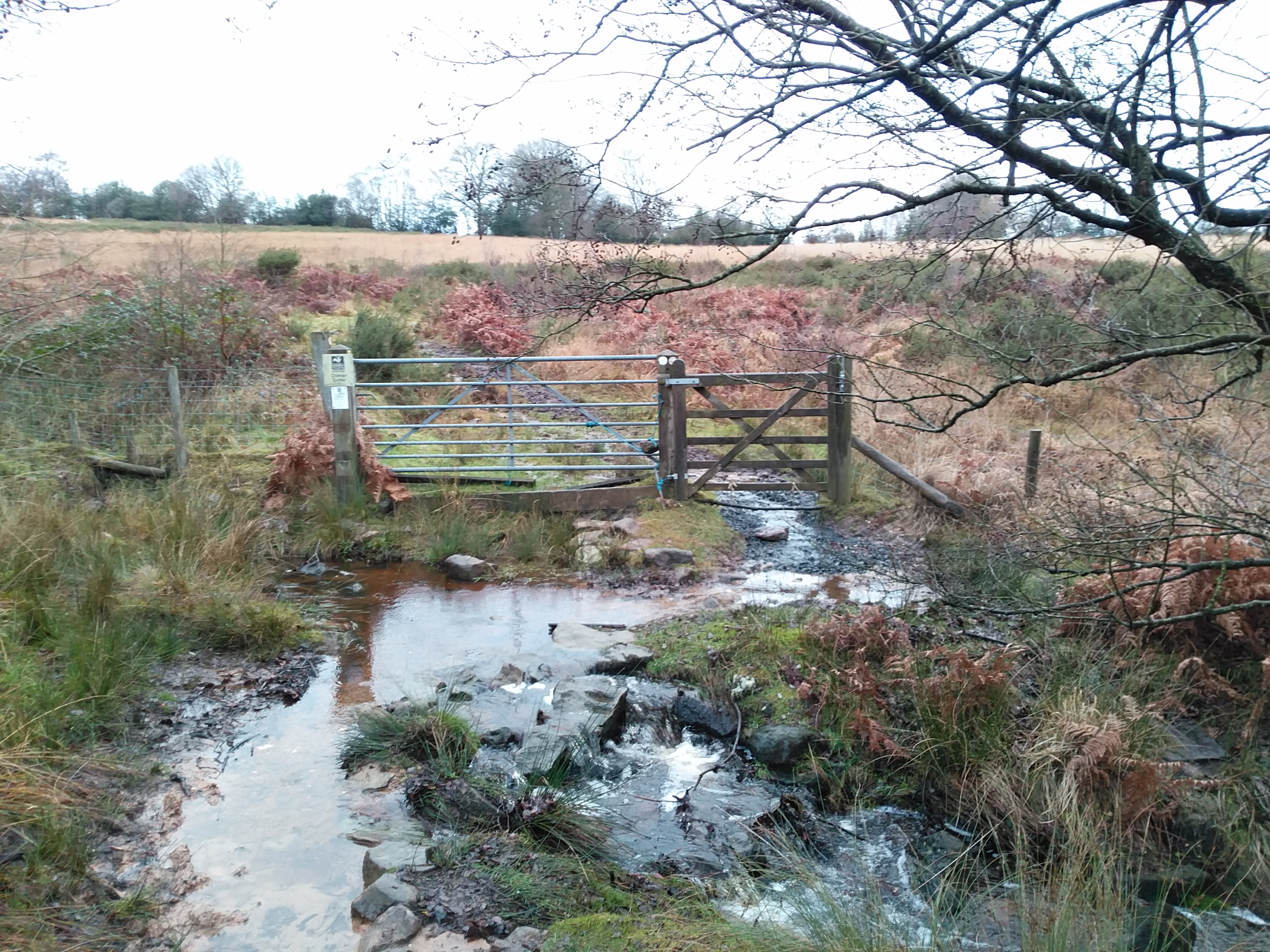 Cramer Gutter brook 14th December 2019 Cramer Gutter brook 14th December 2019
