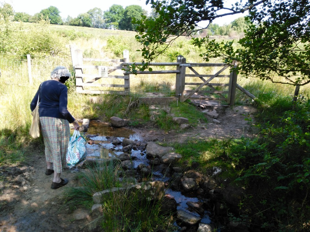 Judith attempting to cross Cramer Gutter brook 4th July 2018 Judith attempting to cross Cramer Gutter brook 4th July 2018