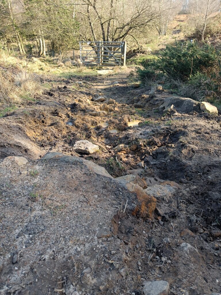 Cramer Gutter field-18th March 2026